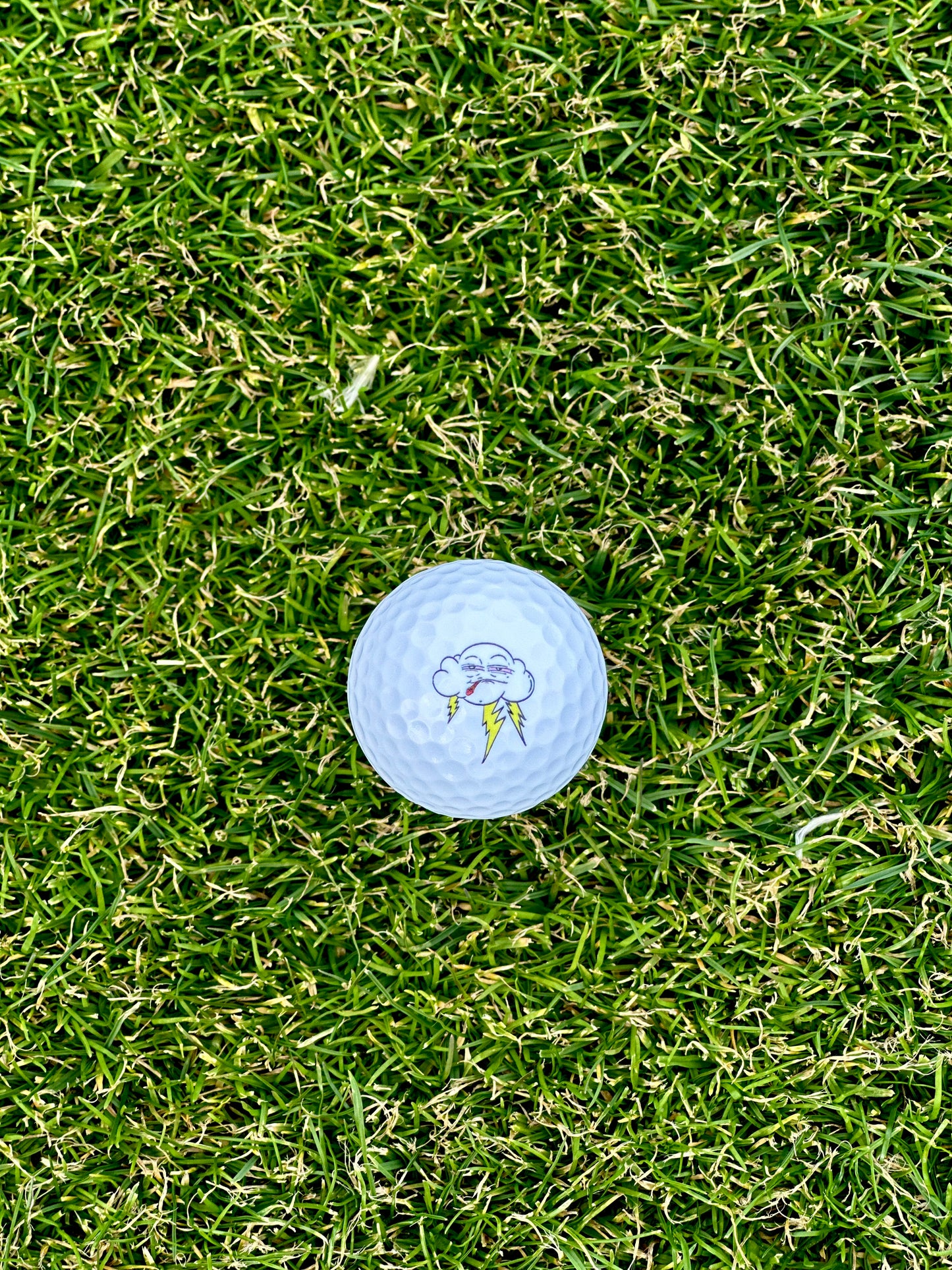 "The Golf Trip" Harvulla x Aaron Brooks Custom Golf Ball Sleeve (3 Balls)