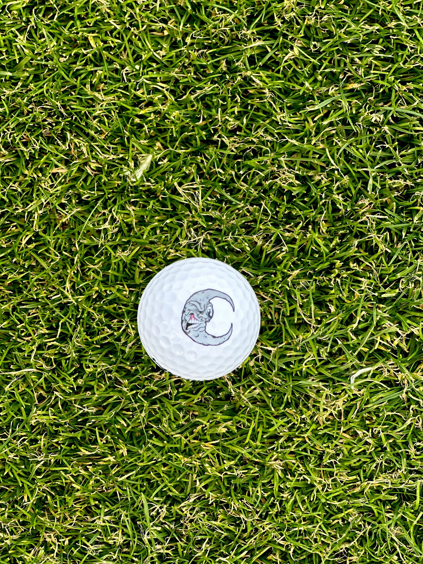 "The Golf Trip" Harvulla x Aaron Brooks Custom Golf Ball Sleeve (3 Balls)