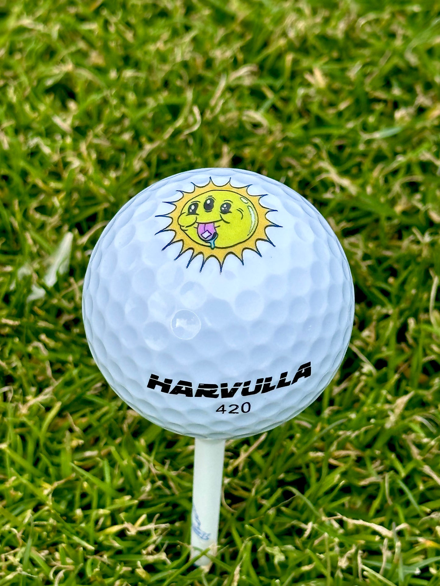 "The Golf Trip" Harvulla x Aaron Brooks Custom Golf Ball Sleeve (3 Balls)